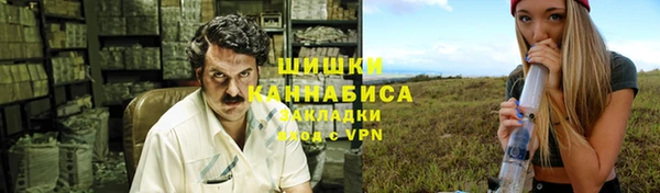 молекула духа Белокуриха