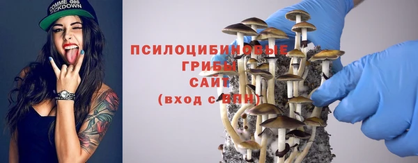 молекула духа Белокуриха