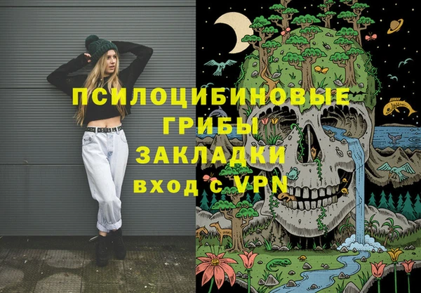 молекула духа Белокуриха