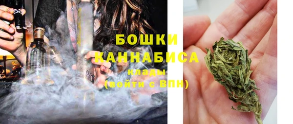 молекула духа Белокуриха