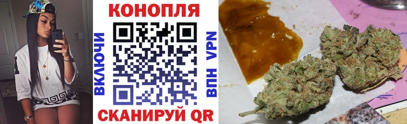 где купить наркотик  Володарск  OMG вход  Каннабис White Widow 